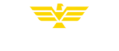topgunestates.com